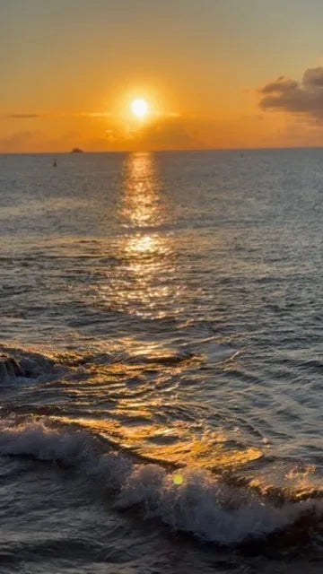 La vie à bord.
